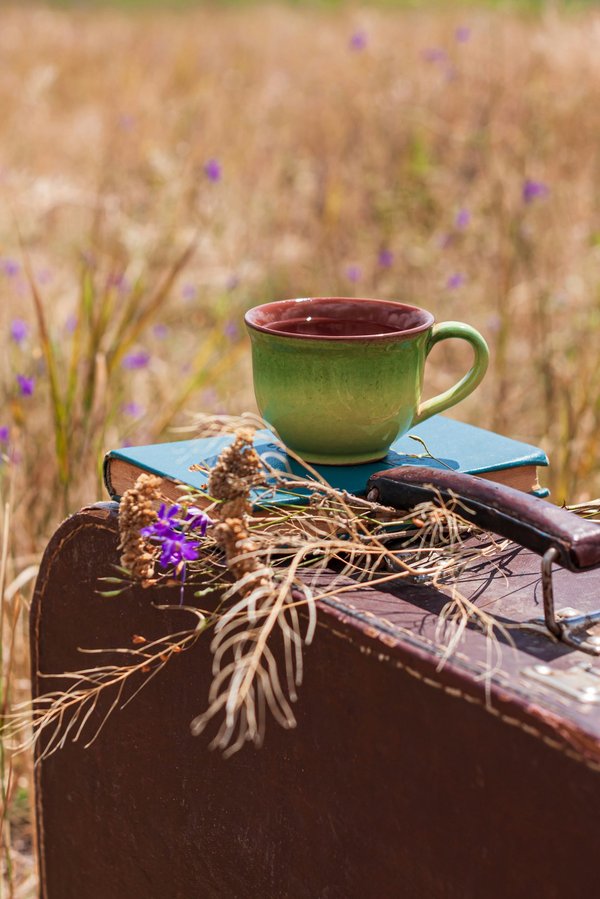 Découvrez les avantages des valises jump pour vos voyages